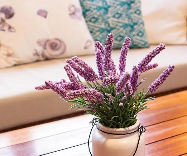 Seaside Jacuzzi Pool Free Surf Retreat *