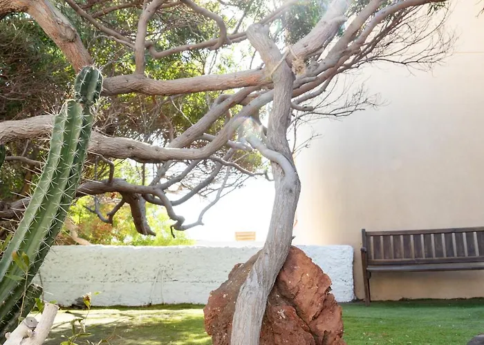 Casa vacanze Seaside Jacuzzi Pool Free Surf Retreat El Médano