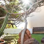 Дом отдыха Seaside Jacuzzi Pool Free Surf Retreat Эль-Медано