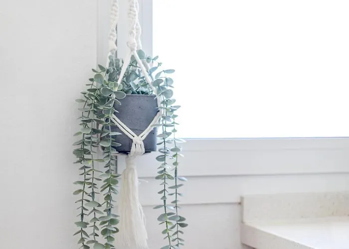 Semesterbostad Seaside Jacuzzi Pool Free Surf Retreat El Médano